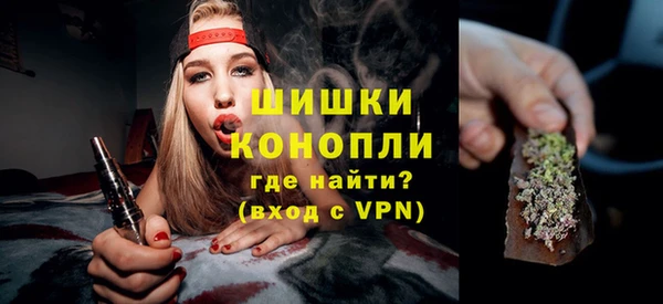 тгк Богородицк