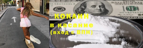 молекула духа Богданович