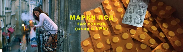 молекула духа Богданович