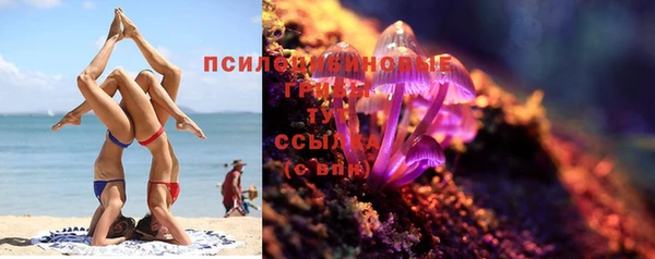 молекула духа Богданович