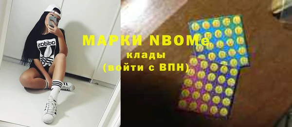 молекула духа Богданович