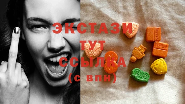 молекула духа Богданович