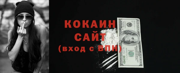 тгк Богородицк