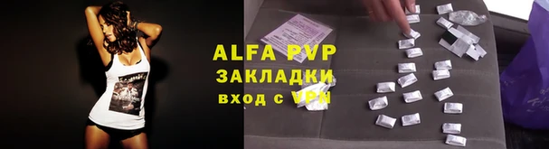 молекула духа Богданович