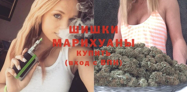 тгк Богородицк