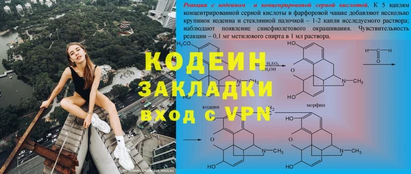 стаф Богородск