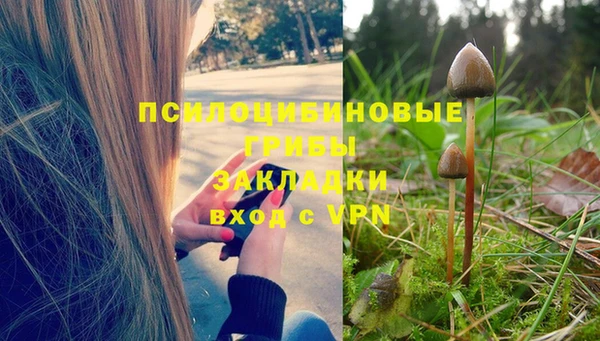 молекула духа Богданович