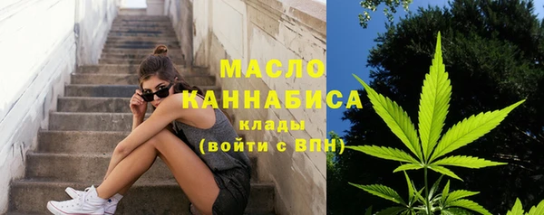 крисы Бронницы