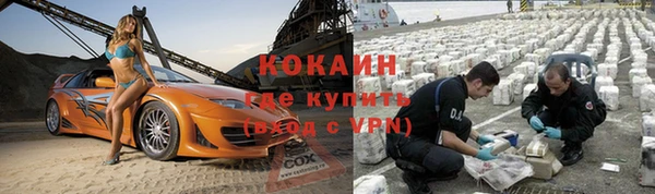 молекула духа Богданович