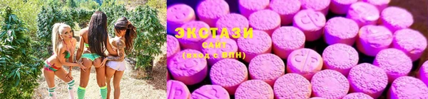 стаф Богородск