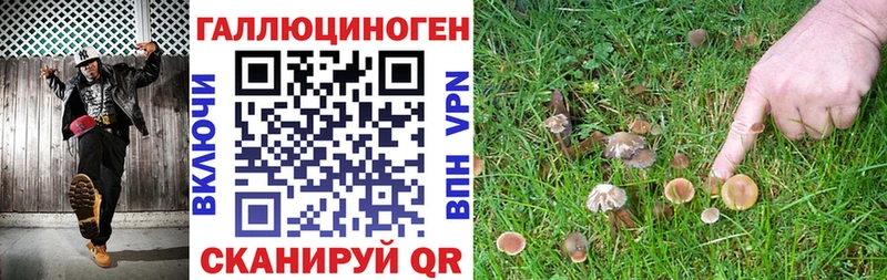 Псилоцибиновые грибы мухоморы  наркошоп  Купино 