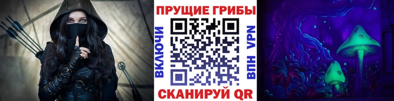 Галлюциногенные грибы Psilocybe Купино